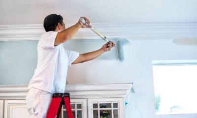 Recruitment For House Painter In Canada