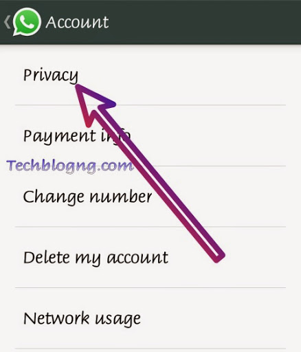 disable read messages blue ticks on whatsapp