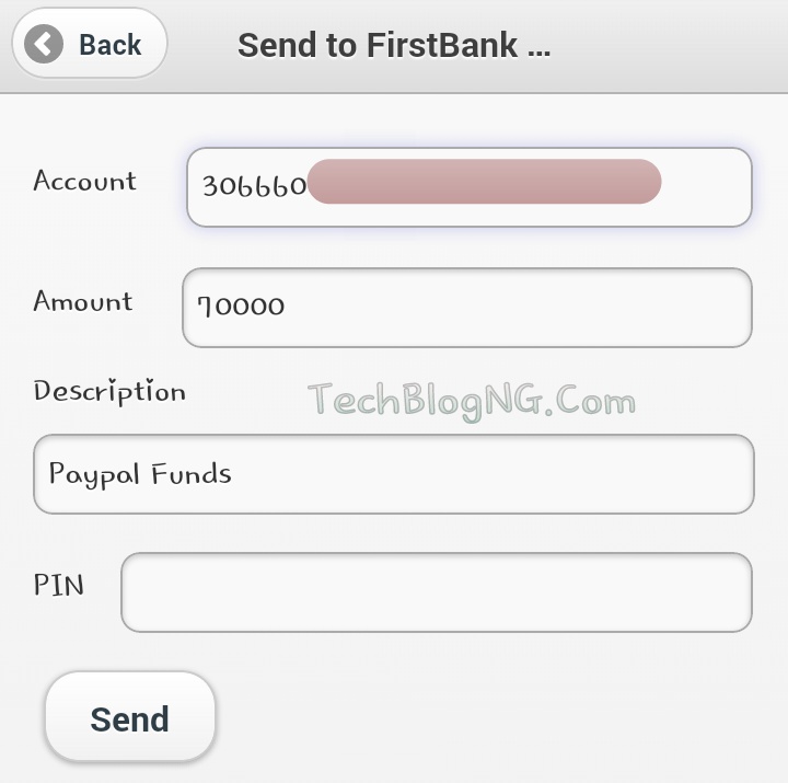 how to send money with firstmonie