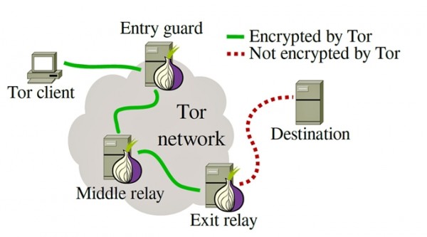 tor-structure