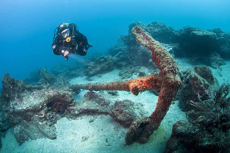 Octopus Diving Center