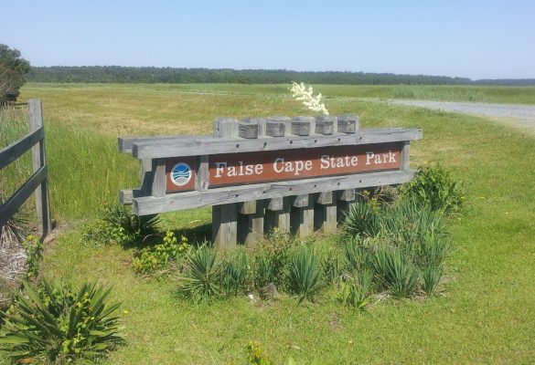 Ride on the Terra Gator at False Cape State Park