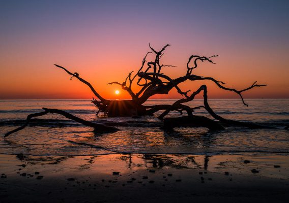 driftwood beach - best beaches in the us