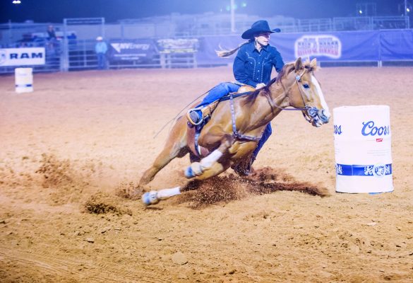 Horse Riding LasVegas