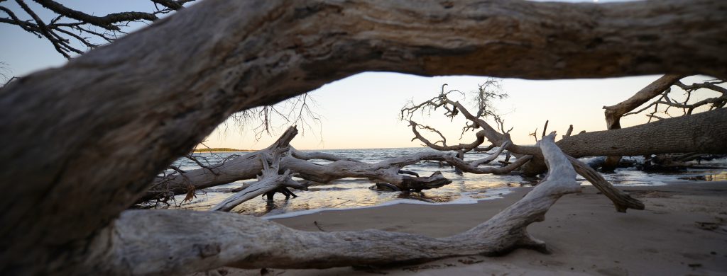 Big Talbot Island State Park