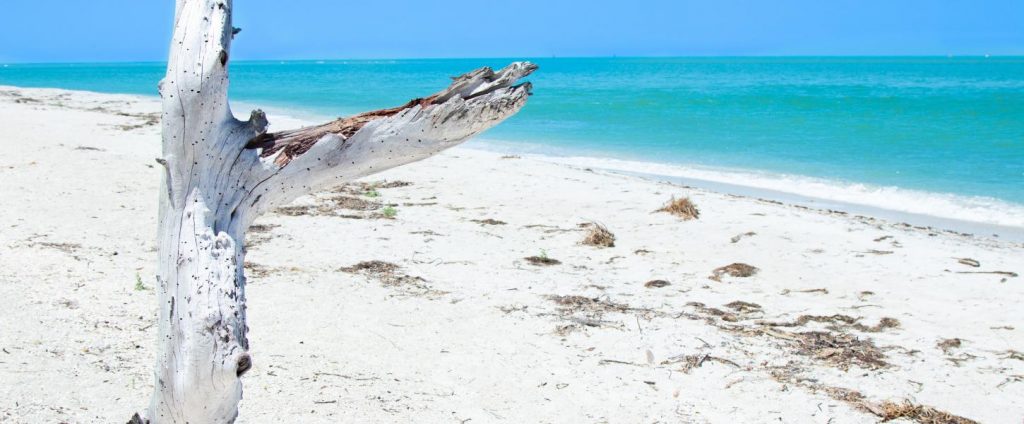 Cayo Costa State Park in Florida - popular florida state parks