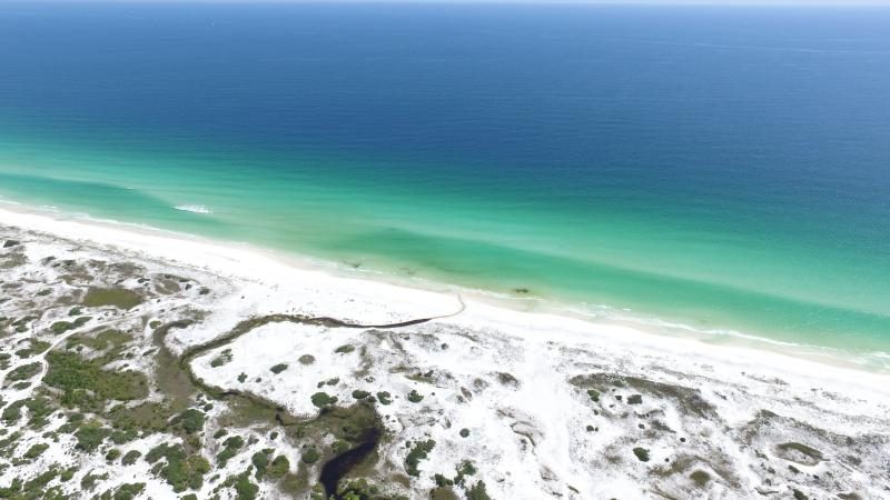 Grayton Beach Florida State Park