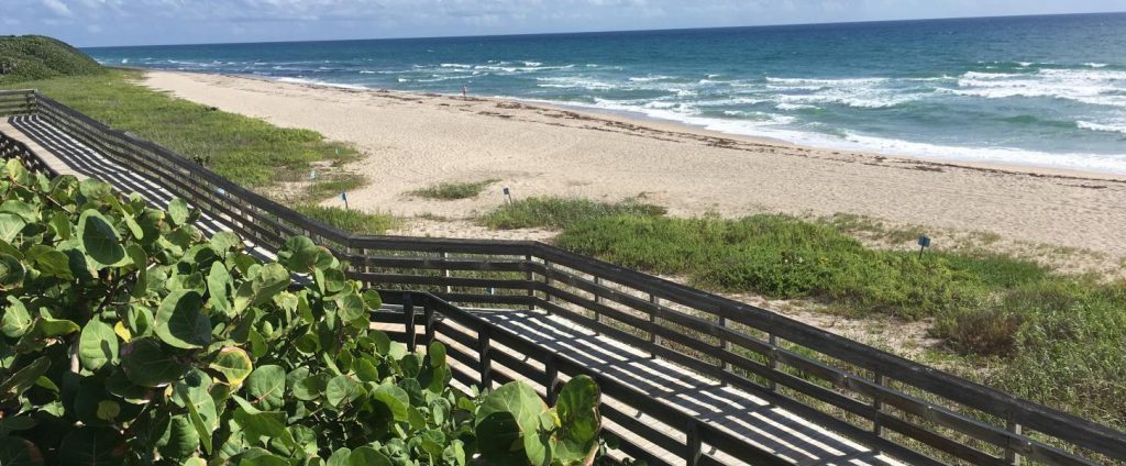 John D. MacArthur State Park Beach - florida state park reservations