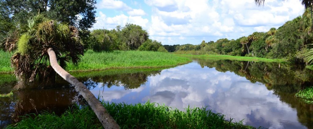 Myakka State Park