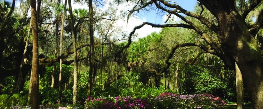 State Park of Washington Oaks Gardens