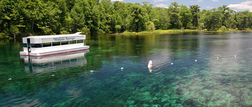 Edward Ball Wakulla Springs National Park - popular florida state parks