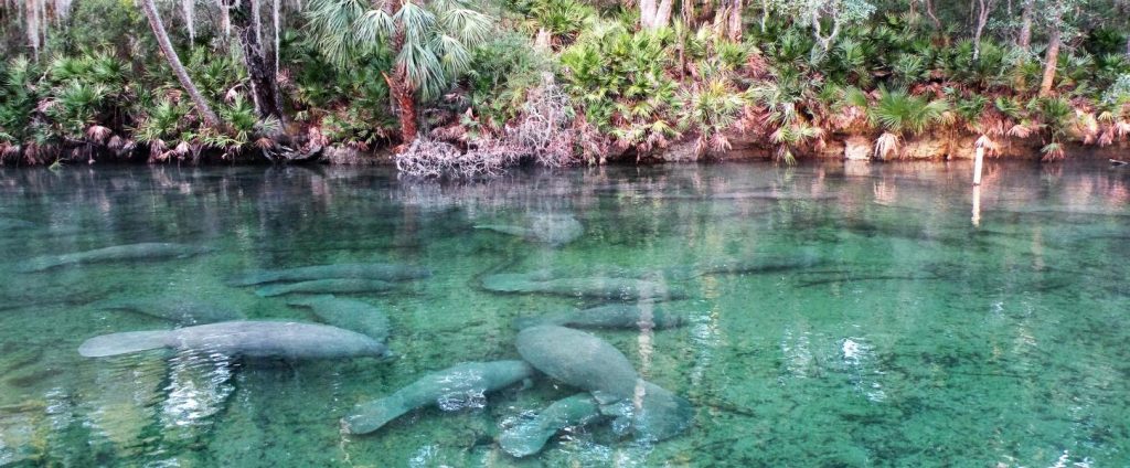 florida state parks