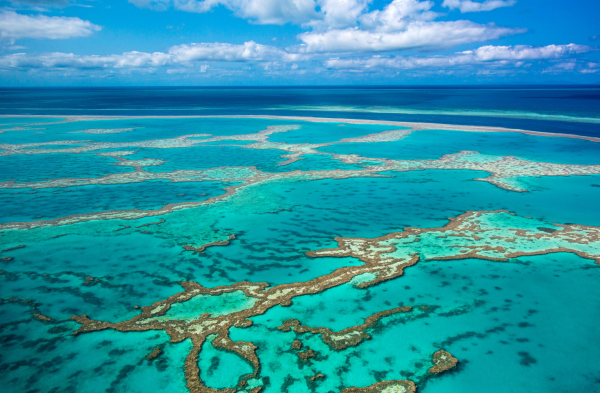 Great Barrier Reef Marine Park - Australia Attractions