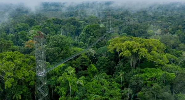 Amazon Jungle - Ecuador tourist attractions
