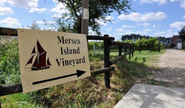 Mersea Islands Vineyard