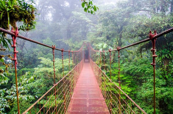 Monteverde Cloud Forest Reserve - top destinations in costa rica