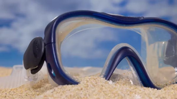 Snorkel Mask