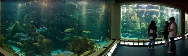 Aquarium Finisterrae in A coruna
