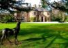 Small Wedding Venues in Scotland for Your Joyful Occasion