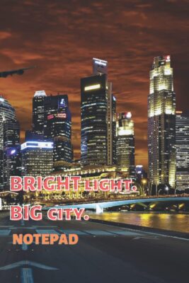 Bright Light Big City Beautiful Notebook