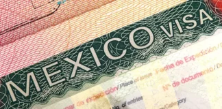 Mexico Work Visa