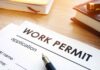 Different Work Permits in Singapore