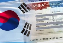 South Korea work visa
